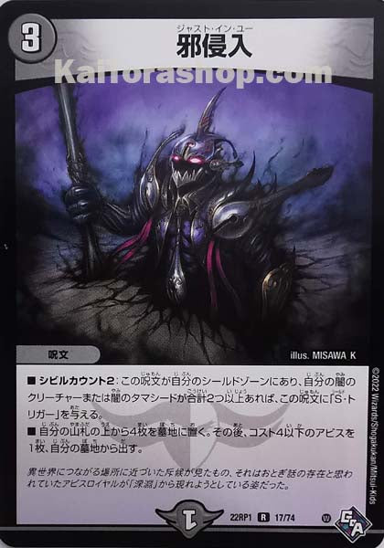 DM22-RP1 17/74 R 邪侵入