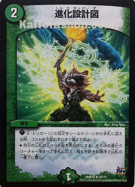 DMR-18 25/71 R 進化設計図