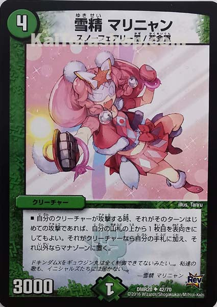 DMR-20 42/70 U 雪精 マリニャン