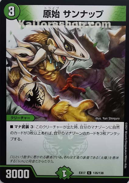 DMEX-17 135/138 C 原始 サンナップ