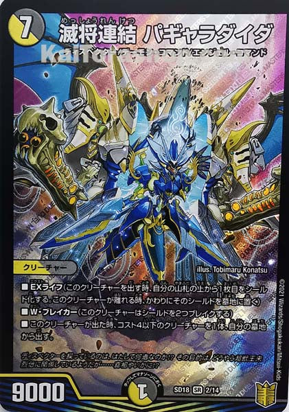 DMSD-18 2/14 SR 滅将連結 パギャラダイダ