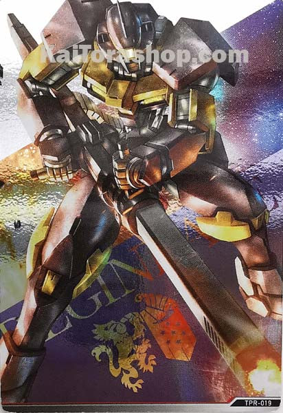 TP-019 	レギンレイズ(イオク機)