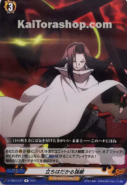 D-TB03/041	R 立ちはだかる強敵