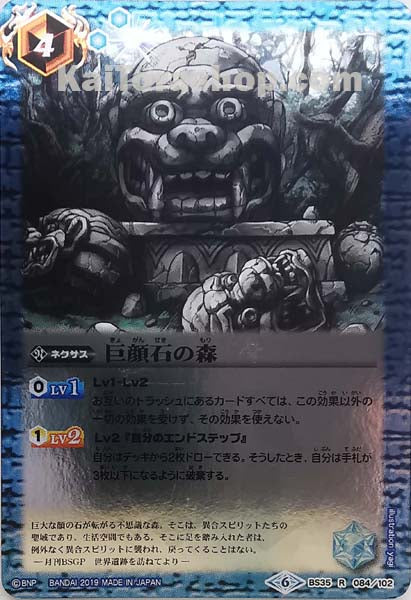 BS35-084 R 巨顔石の森