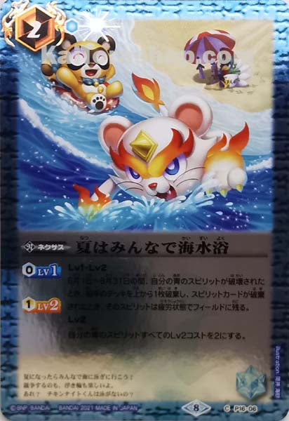 P16-06 夏はみんなで海水浴