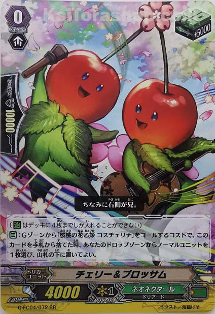 G-FC04/072 RR チェリー&ブロッサム