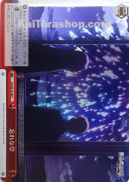 LB/WE18-40 CC 忘れな草 (ホロ)