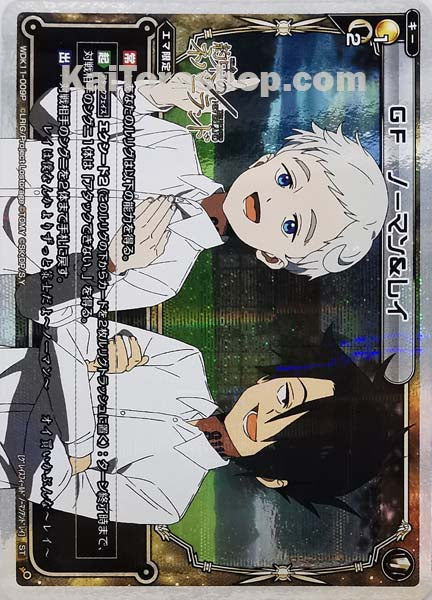 WDK11-009P ST GF ノーマン&レイ