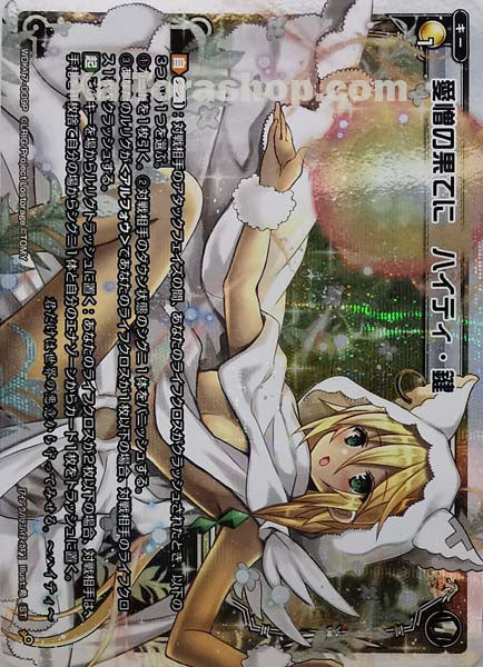 WDK17-009P C 愛憎の果てに ハイティ・鍵