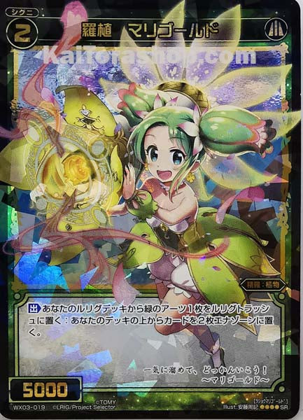 WX03-019 SR 羅植 マリゴールド