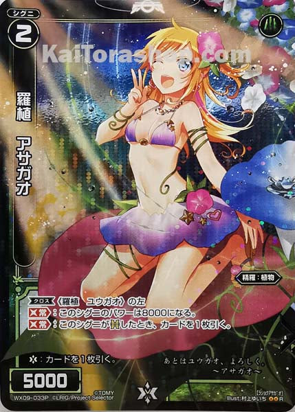 WX09-033P R 羅植 アサガオ