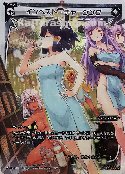 WX15-030P LC インベスト・チャージング