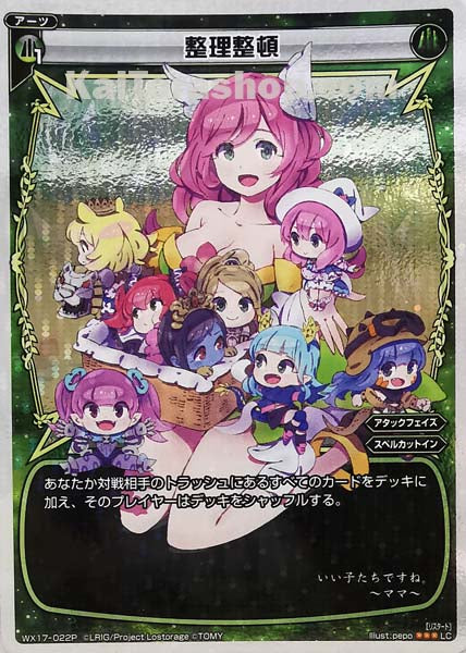 WX17-022P LC 整理整頓