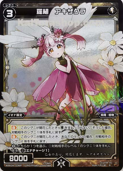 WXK04-036P R 羅植 アキザクラ