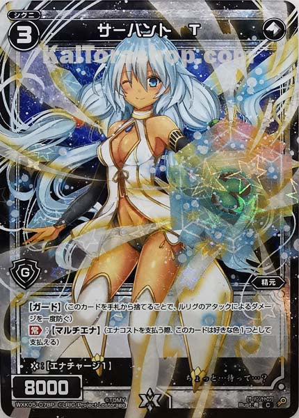 WXK05-078P C サーバント T