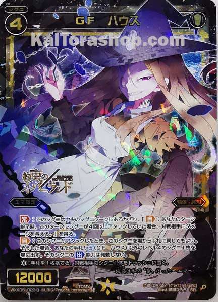 WXK06-023B SR GF ハウス