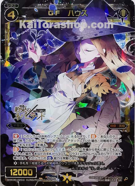 WXK06-023C SR GF ハウス