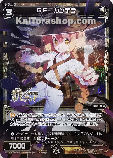 WXK06-060P C GF カンテラ