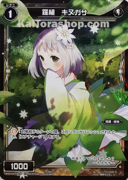 WXK04-067P C 羅植 キヌガサ