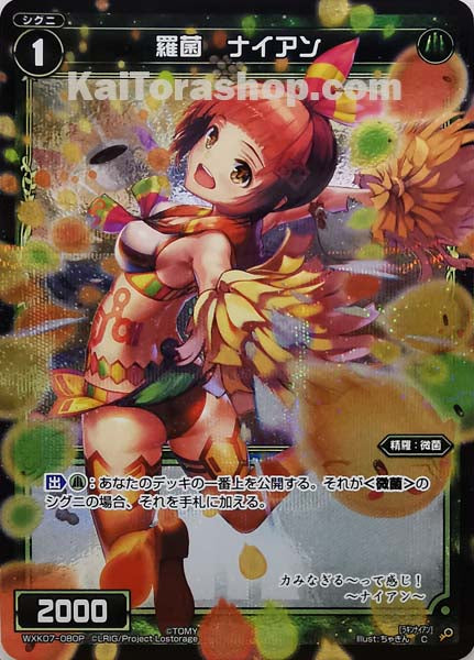 WXK07-080P C 羅菌 ナイアン